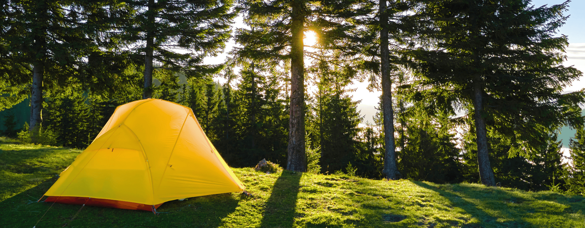 Une tente dans une forêt. Une tente dans une forêt.